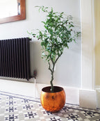 120cm Artificial Olive Tree