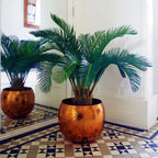 80cm Artificial Cycas Palm