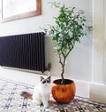 120cm Artificial Olive Tree