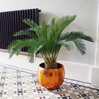 80cm Artificial Cycas Palm