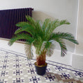 80cm Artificial Cycas Palm